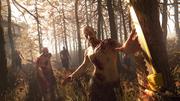 Dying Light: The Following - Enhanced Edition screenshot 6