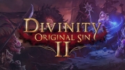 Divinity: Original Sin 2 cover art