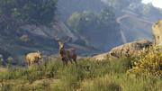 Grand Theft Auto V screenshot 8