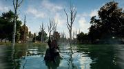 PLAYERUNKNOWN'S BATTLEGROUNDS screenshot 8