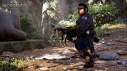 Dragon Age: Inquisition screenshot 7