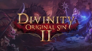 Divinity: Original Sin 2 cover art