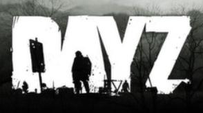 DayZ cover art